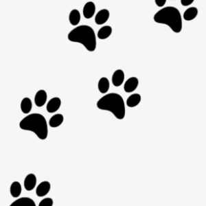 Cat Paw Prints - Paw Prints Transparent Background