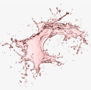 Splash Rose - Water Splash