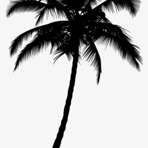 Arecaceae Silhouette Tree - Palm Tree Silhouette Png