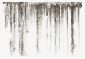 Dirt Leaks - Decal