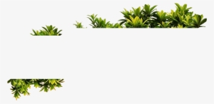 Png Plantas - Plantas Png