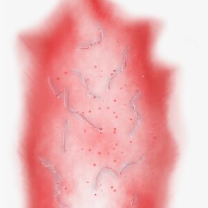 Red Aura Png - Red Dbz Aura Transparent