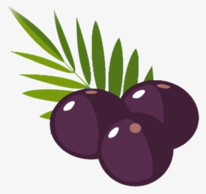 Clip Art Best Graphic - Acai Berry Vector