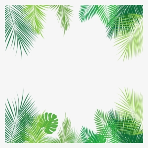 Tropical Leaves Palmleaves Summer Border Overlay Freeto - Tropical Leaves Border Png