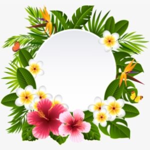 Tropical Frame Cliparts - Tropical Flower Frame Png