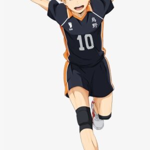 Hinata Transparent Haikyuu - Hinata Shouyou Full Body