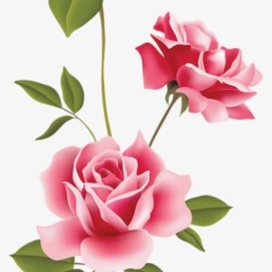 Pink Roses Clip Art Pink Rose Png, Pink Roses, Rose - Rose Flowers Clip Art