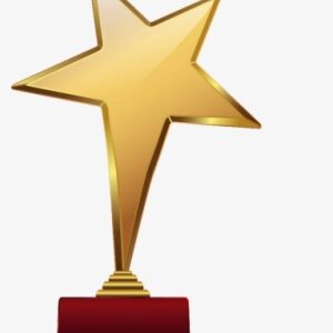 Award Image - Gold Star Trophy Png