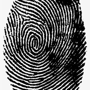 Fingerprint Transparent Png Clip - Fingerprint