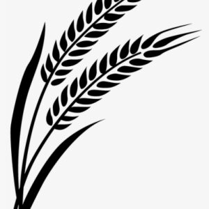 Wheat Silhouette At Getdrawings - Illustration