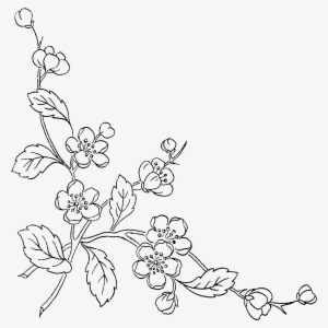 Flower Sketch Png - Line Art