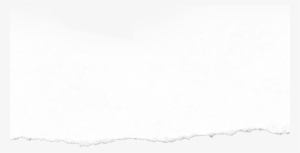 Ripped Paper Vector - Monochrome