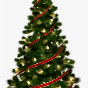 Christmas Tree Png - Christmas Tree With Transparent Background