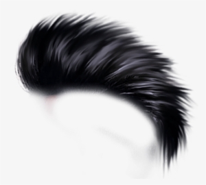 Free Png Hair Png Images Transparent - Hair Style Png Hd