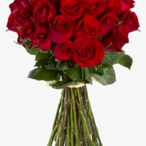 Flower Bokeh Png Images Siewalls Co - Red Rose Bouquet For Birthday