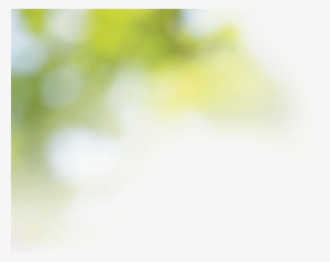 Blurred Tree, - Food