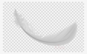 Png Images Of Duck Feathers Clipart Feather White Bird - Seeland Decoy Pigeon Carousel - Super Compact