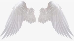Angel Wings Png Angel Wings Angels ❤ В 2018 Г Pinterest - Angel Wings Png