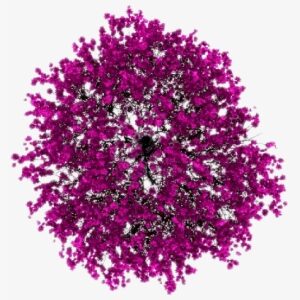 Single Bed Top View Png Single Page Parallax Experiment - Tree Top Purple