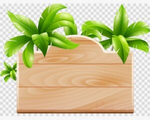 Frame Moana Png Clipart Borders And Frames Clip Art - Frame Moana Png