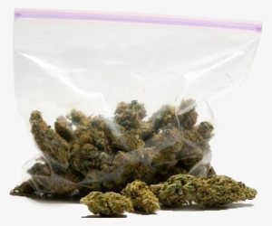 Bag Of Weed Png Royalty Free - Cash Out Keisha