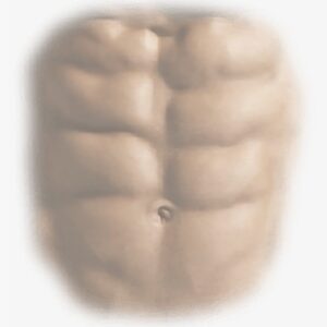 Six Pack Abs Png For Picsart