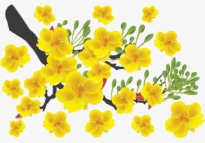 Thiết Kế Ch&250c Mừng Năm Mới - Cành Mai Vàng Png