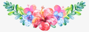 Bloom Pink Frame Flower Border Flowers White Bouquet - Water Color Hibiscus Flower Png