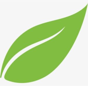 Hoja Png