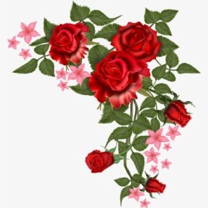 Download Flowers Vectors Free Png Transparent Image - Red Flower Vector Png