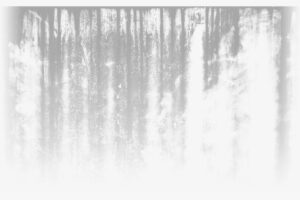 Free Png Download Dirt Texture Png Png Images Background - Birch