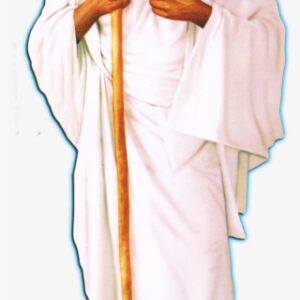Sree Narayana Guru, One Of The Greatest Revolutionary - Sree Narayana Guru Devan