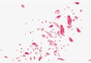 Flower Petals For Wedding - Rose Petals Falling Transparent