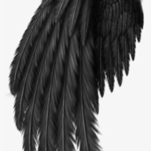Black Angel Wings Png