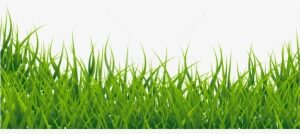 Free Png Download Grass Vector Png Images Background - Grass Png Hd