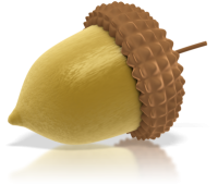 Acorn PNG image, free, acorns