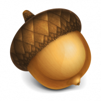 Acorn PNG image, free, acorns