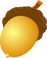 Acorn PNG image, free, acorns