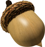 Acorn PNG image