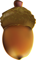 Acorn PNG image