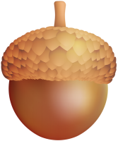 Acorn PNG image