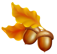 Acorn PNG image