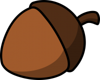 Acorn PNG image