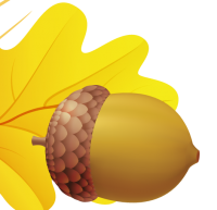 Acorn PNG image