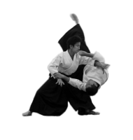 Aikido PNG