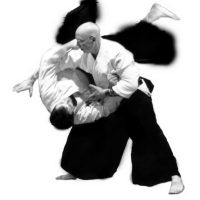 Aikido PNG