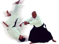 Aikido PNG