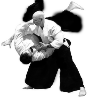 Aikido PNG