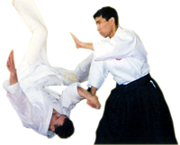Aikido PNG