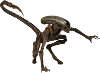Alien PNG